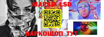 индика Славгород