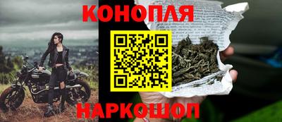 индика Славгород