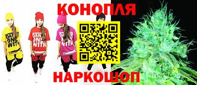 индика Славгород