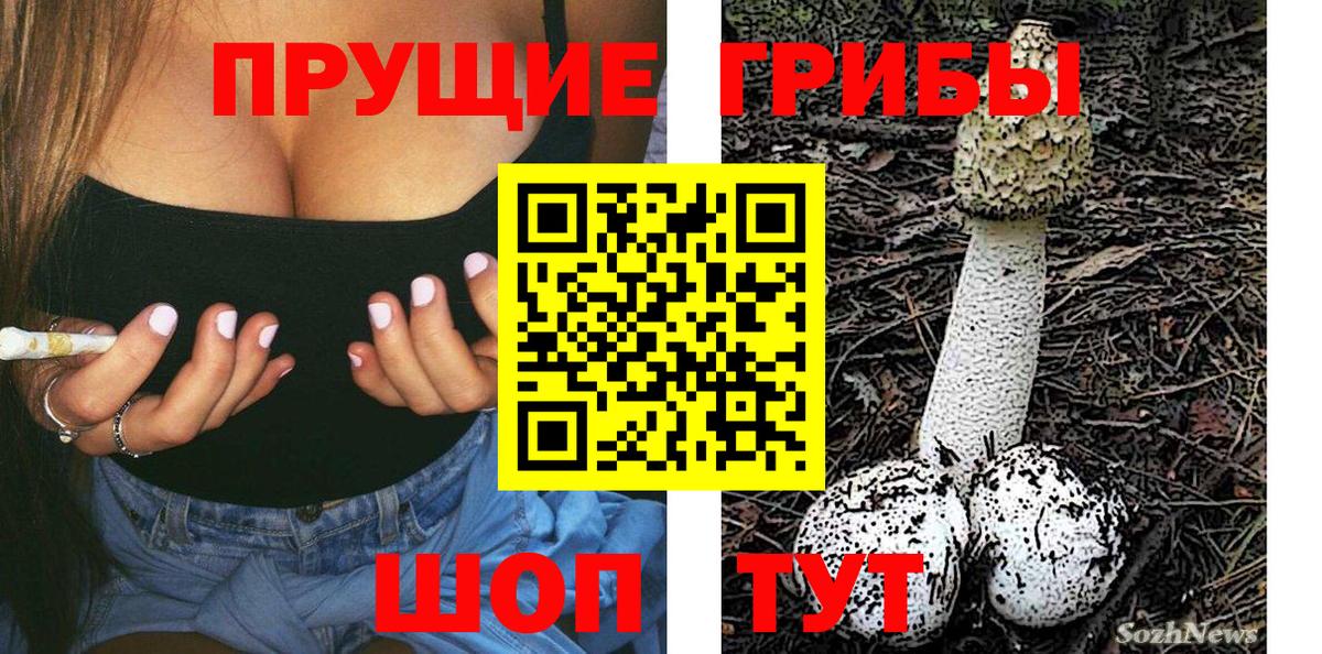 Псилоцибиновые грибы мухоморы Мирный