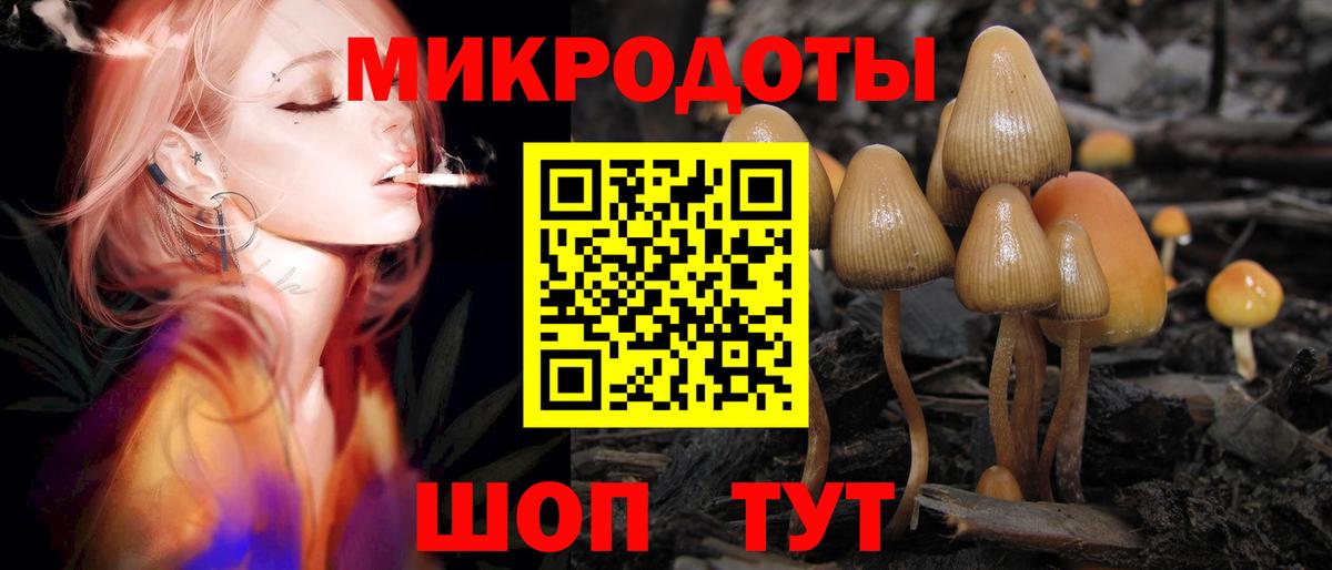 Мирный  Псилоцибиновые грибы Cubensis  Вход с VPN 